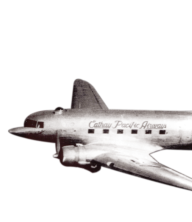 1948 展翅高飞